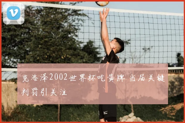 克洛泽2002世界杯吃黄牌 当届关键判罚引关注