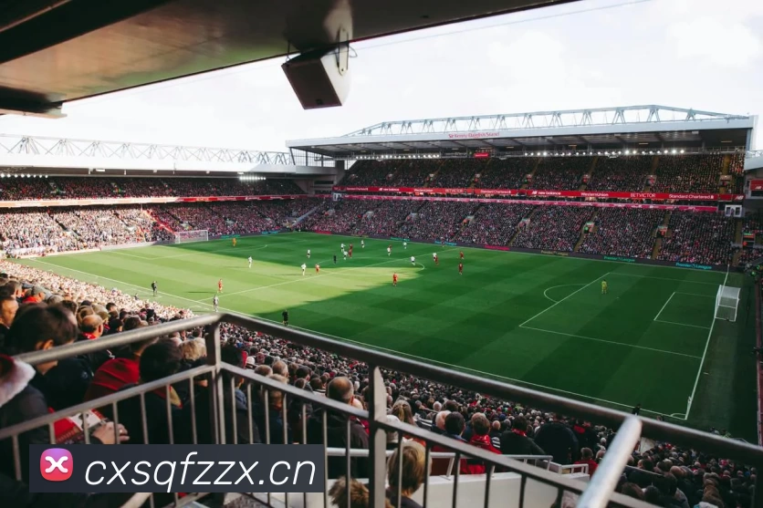 App Interface Preview